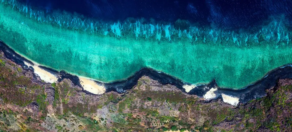 El calor de los océanos del mundo alcanzó un nuevo récord en 2019, mostrando un calentamiento "irrefutable y acelerado" del planeta.